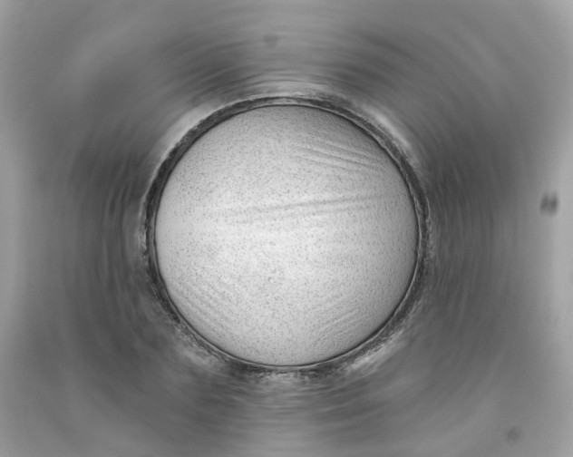 X0000091470883200709061816