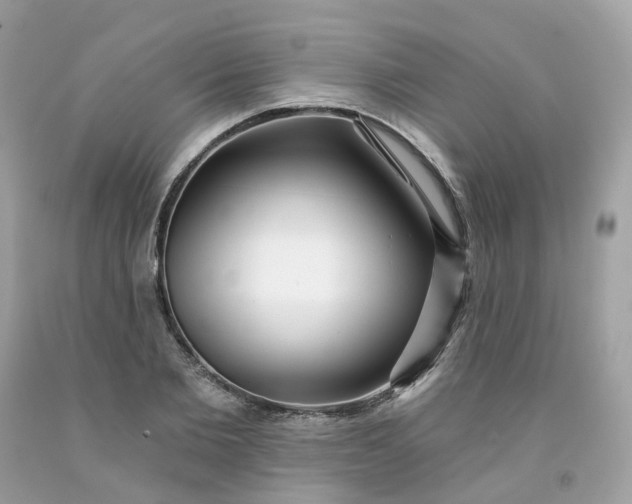 X0000091470885200709061816