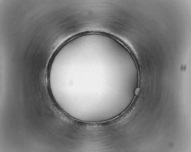 X0000091470887200709061816