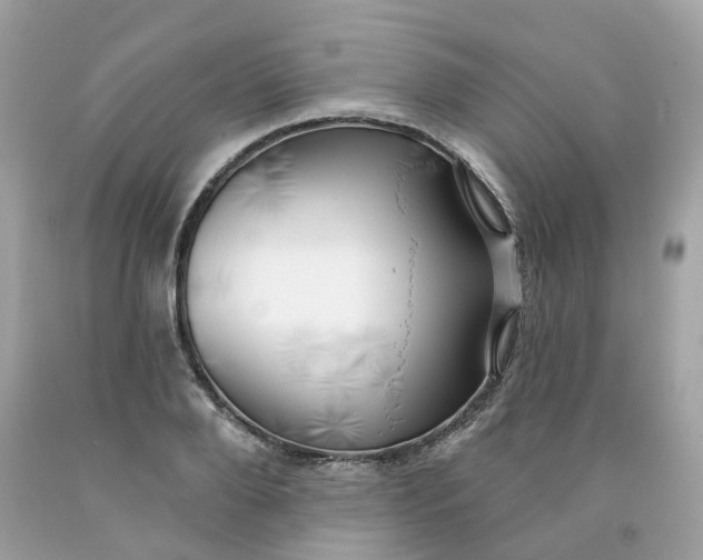 X0000091470888200709061816