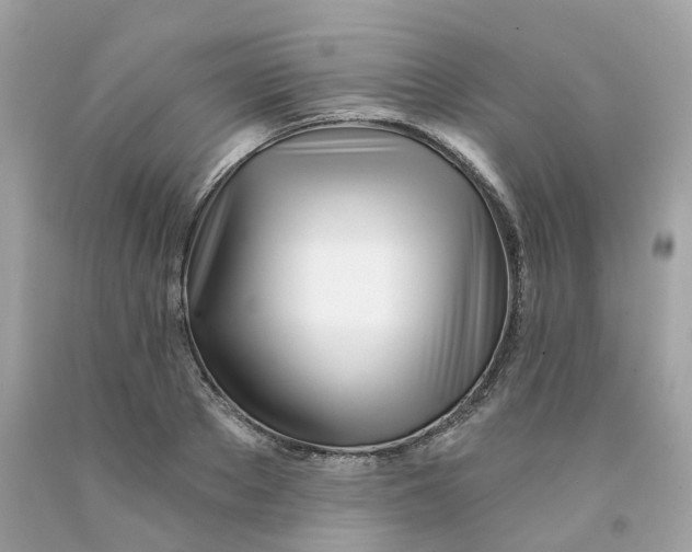 X0000091470889200709061816