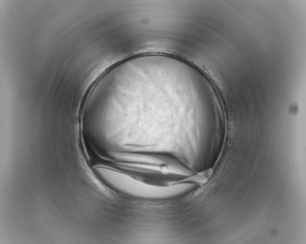 X0000091470890200709061816