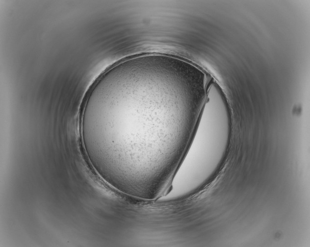 X0000091470891200709061816