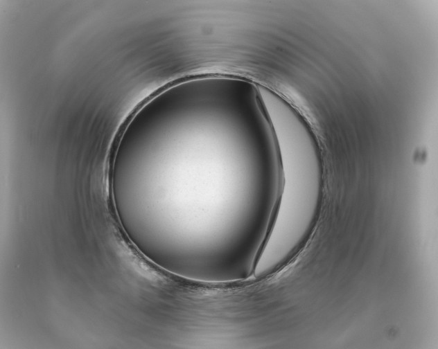 X0000091470892200709061816