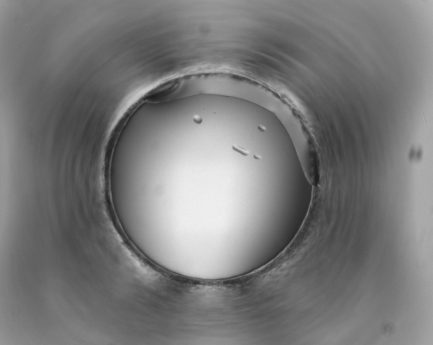 X0000091470894200709061816