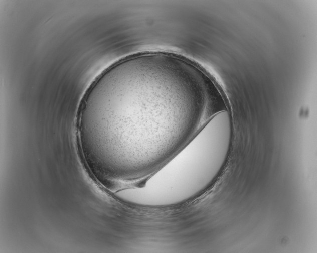 X0000091470895200709061816