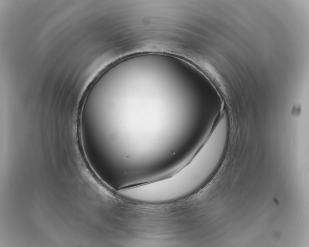 X0000091470896200709061816