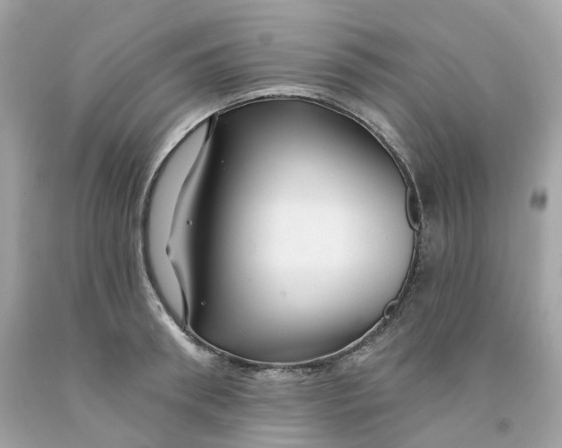 X0000091470898200709061816