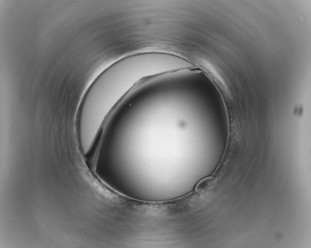 X0000091470900200709061816