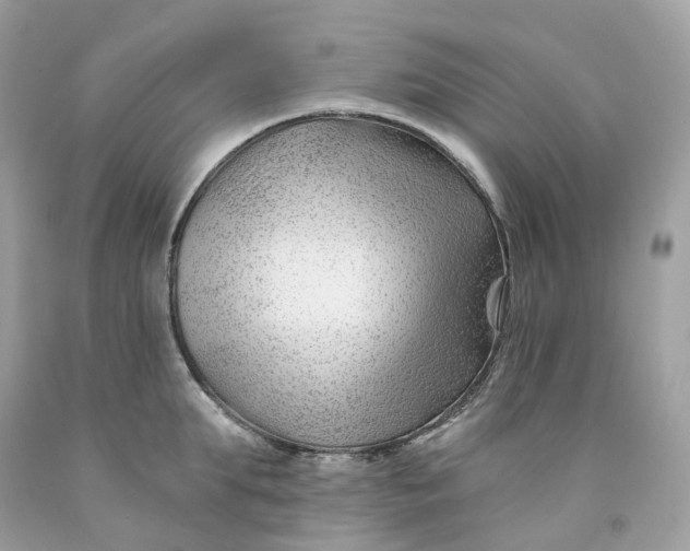 X0000091470903200709061816