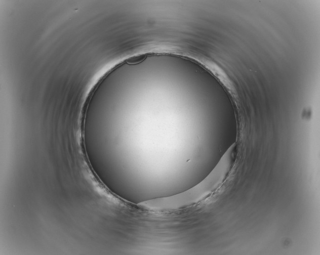 X0000091470904200709061816