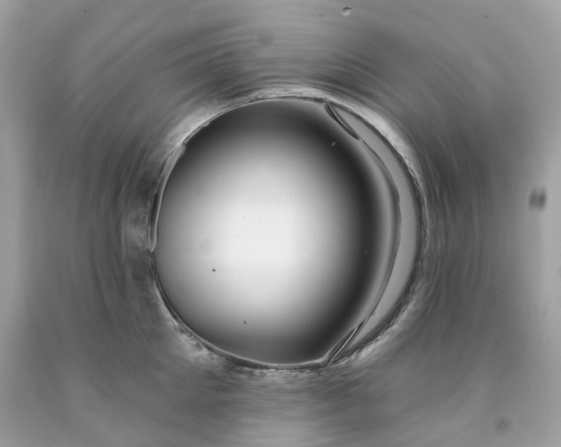 X0000091470905200709061816