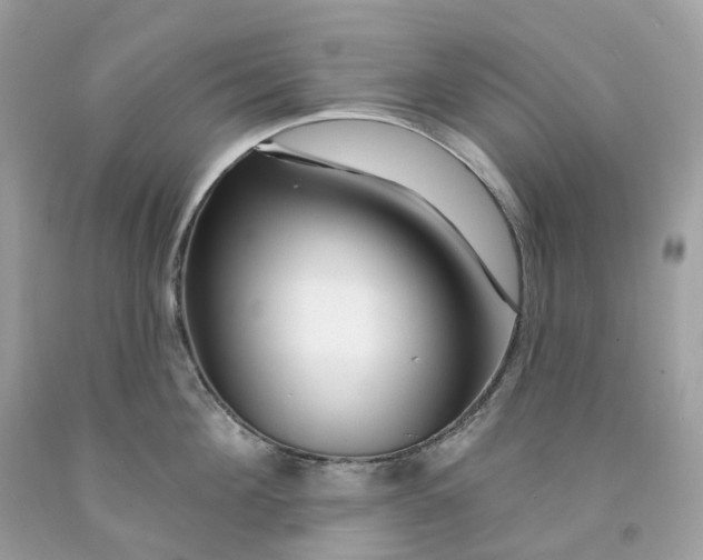 X0000091470908200709061816