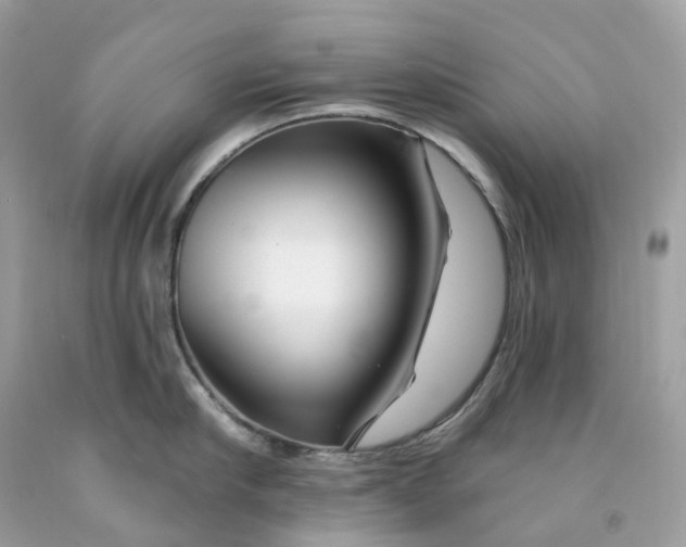 X0000091470910200709061816