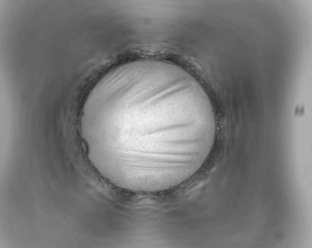 X0000091470913200709061815