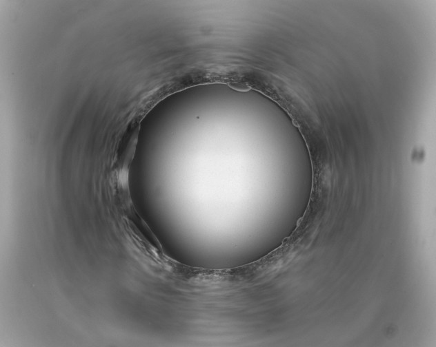 X0000091470914200709061815