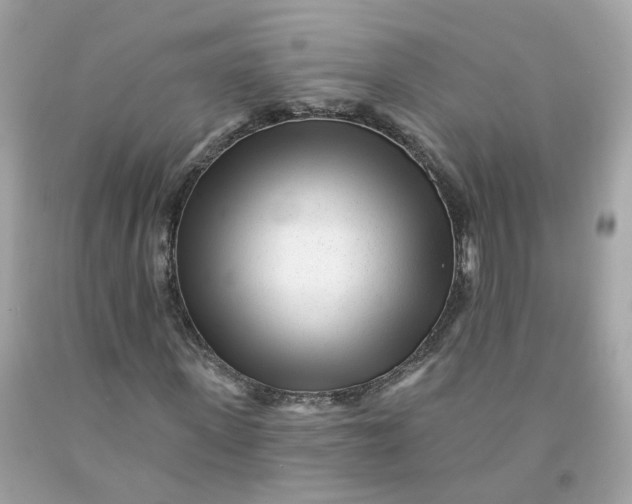 X0000091470915200709061815