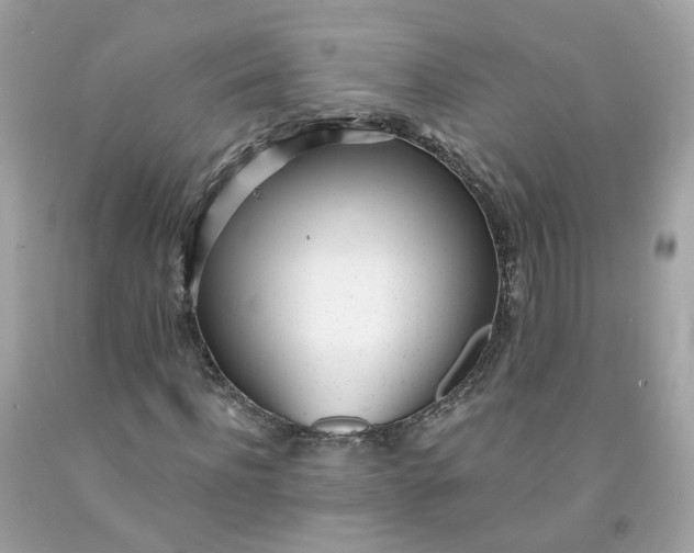 X0000091470916200709061815