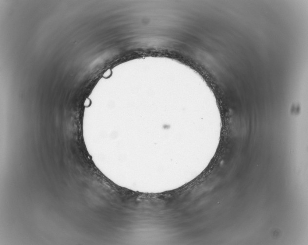 X0000091470918200709061815