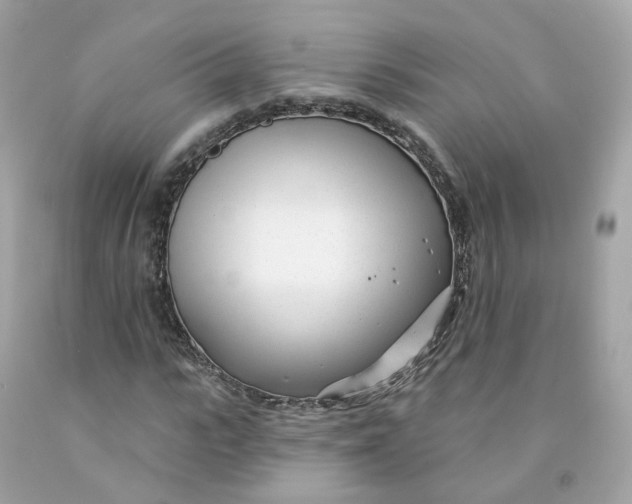 X0000091470919200709061815