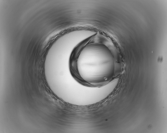 X0000091470920200709061815