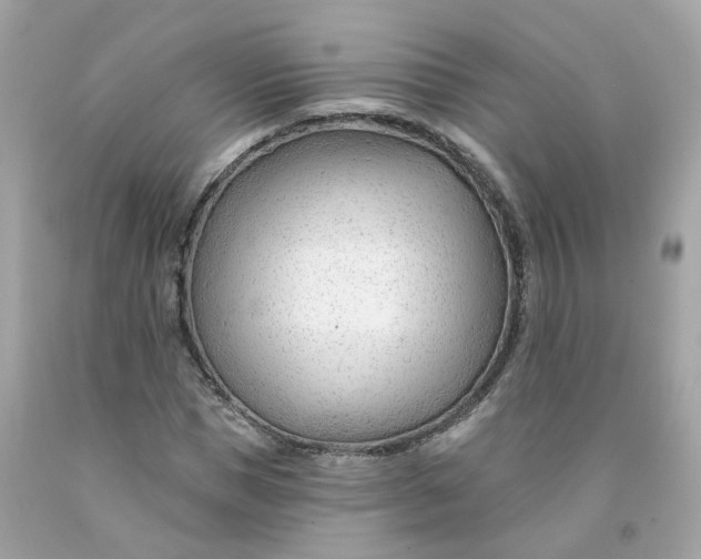 X0000091470921200709061815