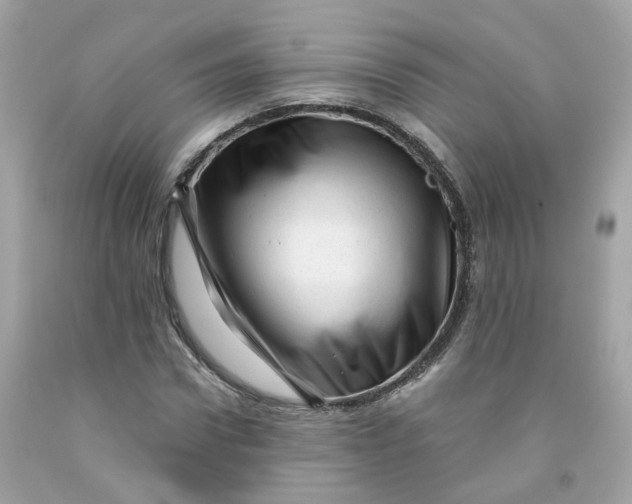 X0000091470922200709061815