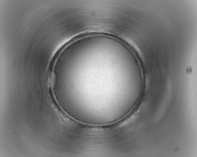 X0000091470925200709061815