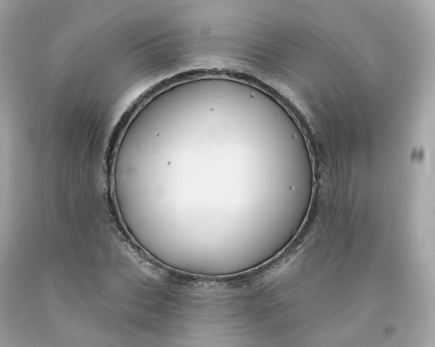 X0000091470927200709061815