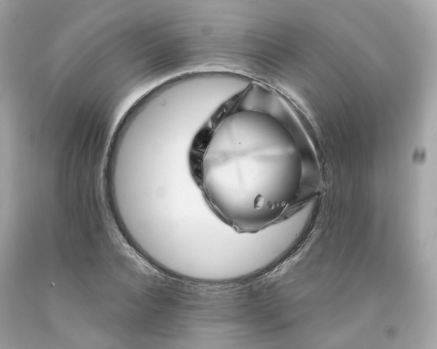 X0000091470928200709061815