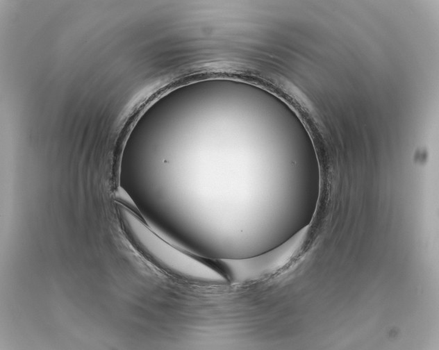 X0000091470930200709061815