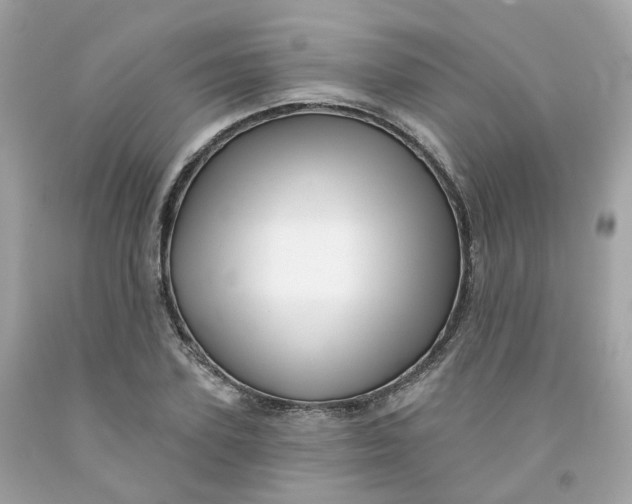 X0000091470931200709061815