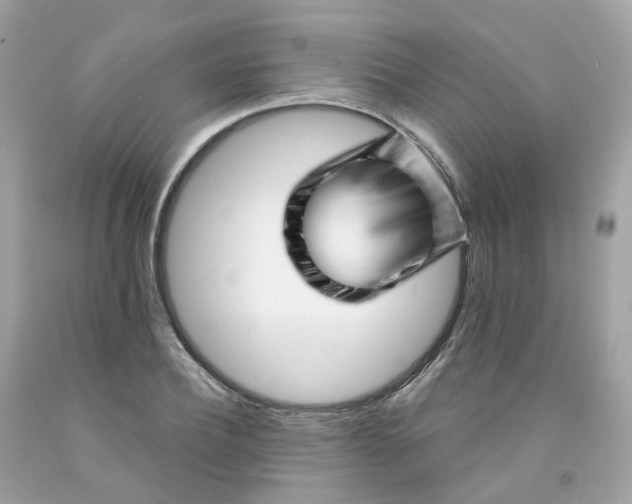 X0000091470932200709061815