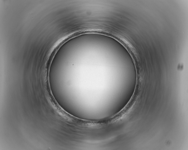 X0000091470933200709061815