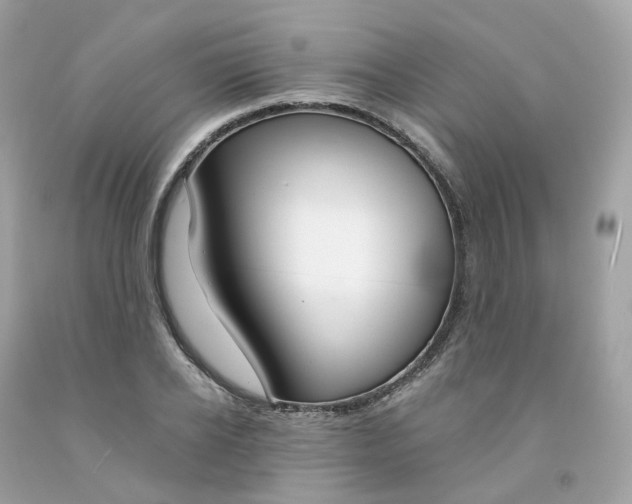 X0000091470934200709061815