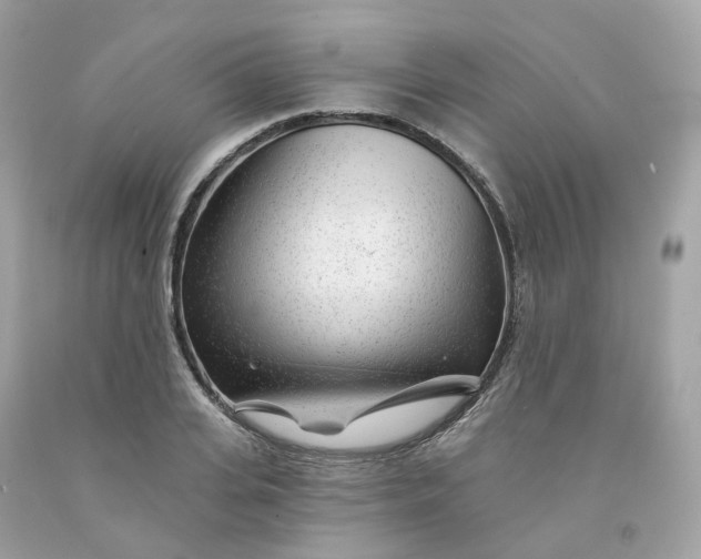 X0000091470935200709061815