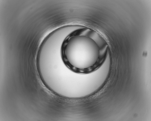 X0000091470936200709061815