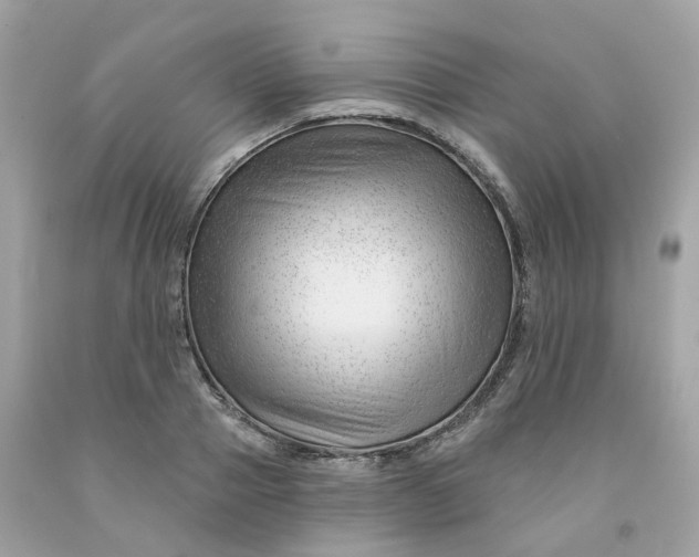 X0000091470937200709061815