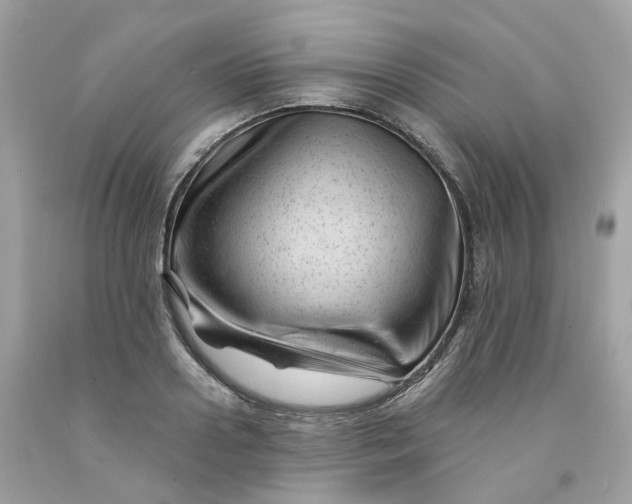 X0000091470938200709061815