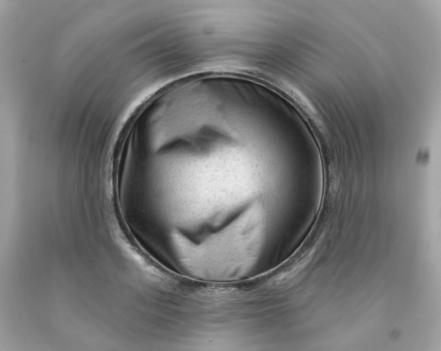 X0000091470939200709061815