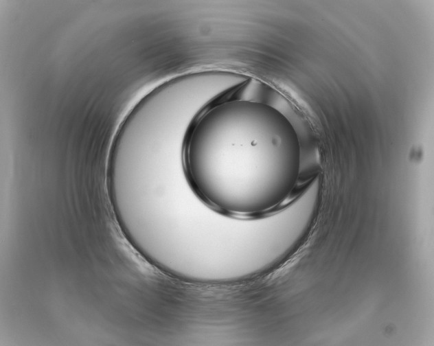 X0000091470940200709061815