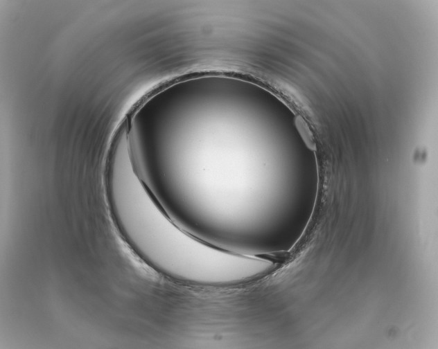 X0000091470942200709061815