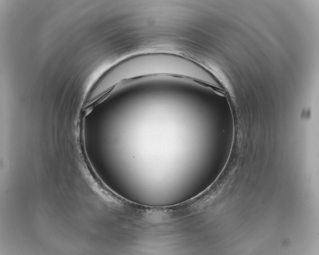 X0000091470944200709061815