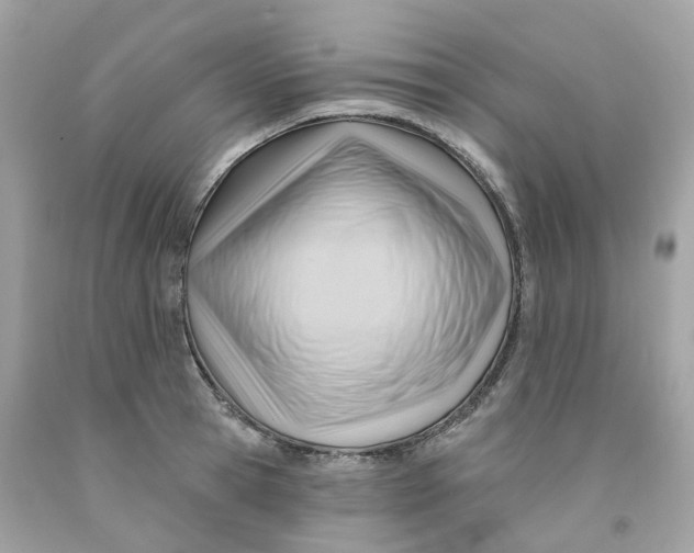 X0000091470945200709061815