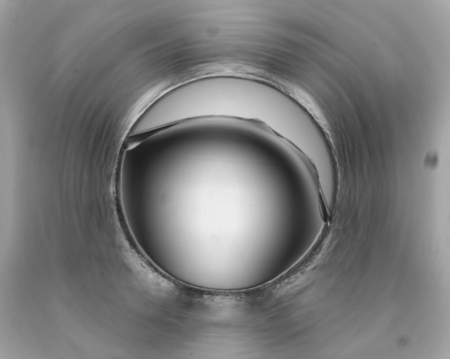 X0000091470946200709061815