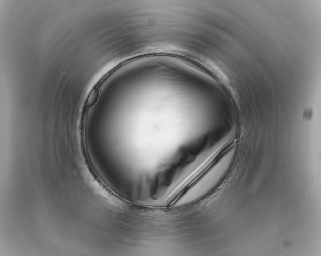 X0000091470947200709061815