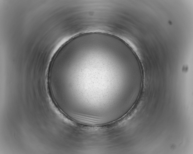 X0000091470949200709061815