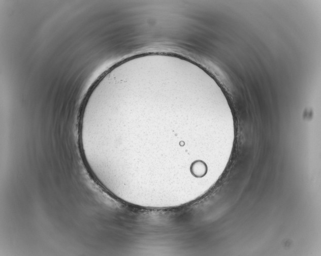 X0000091470950200709061815