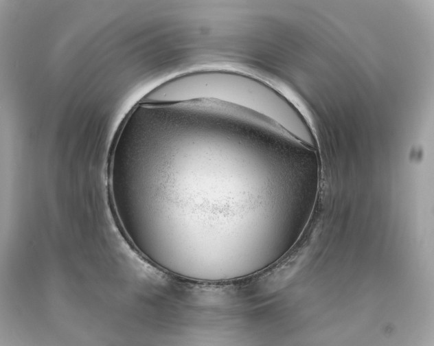 X0000091470951200709061815