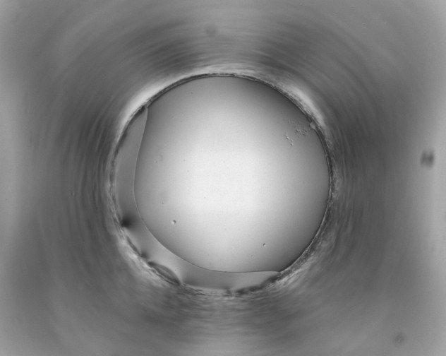 X0000091470952200709061815